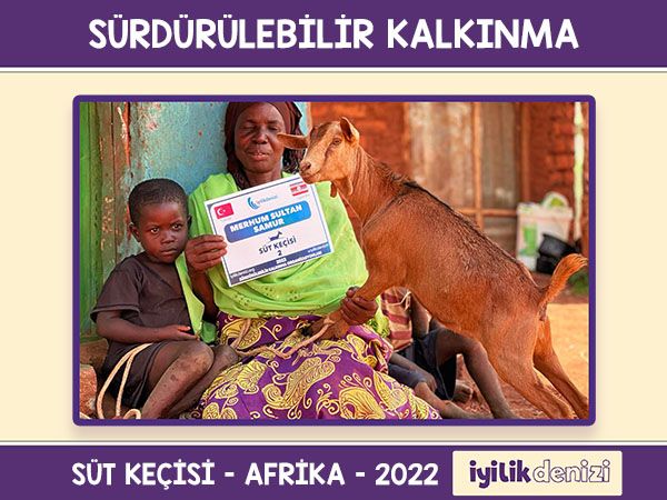 Süt Keçisi Dağıtımı 2022