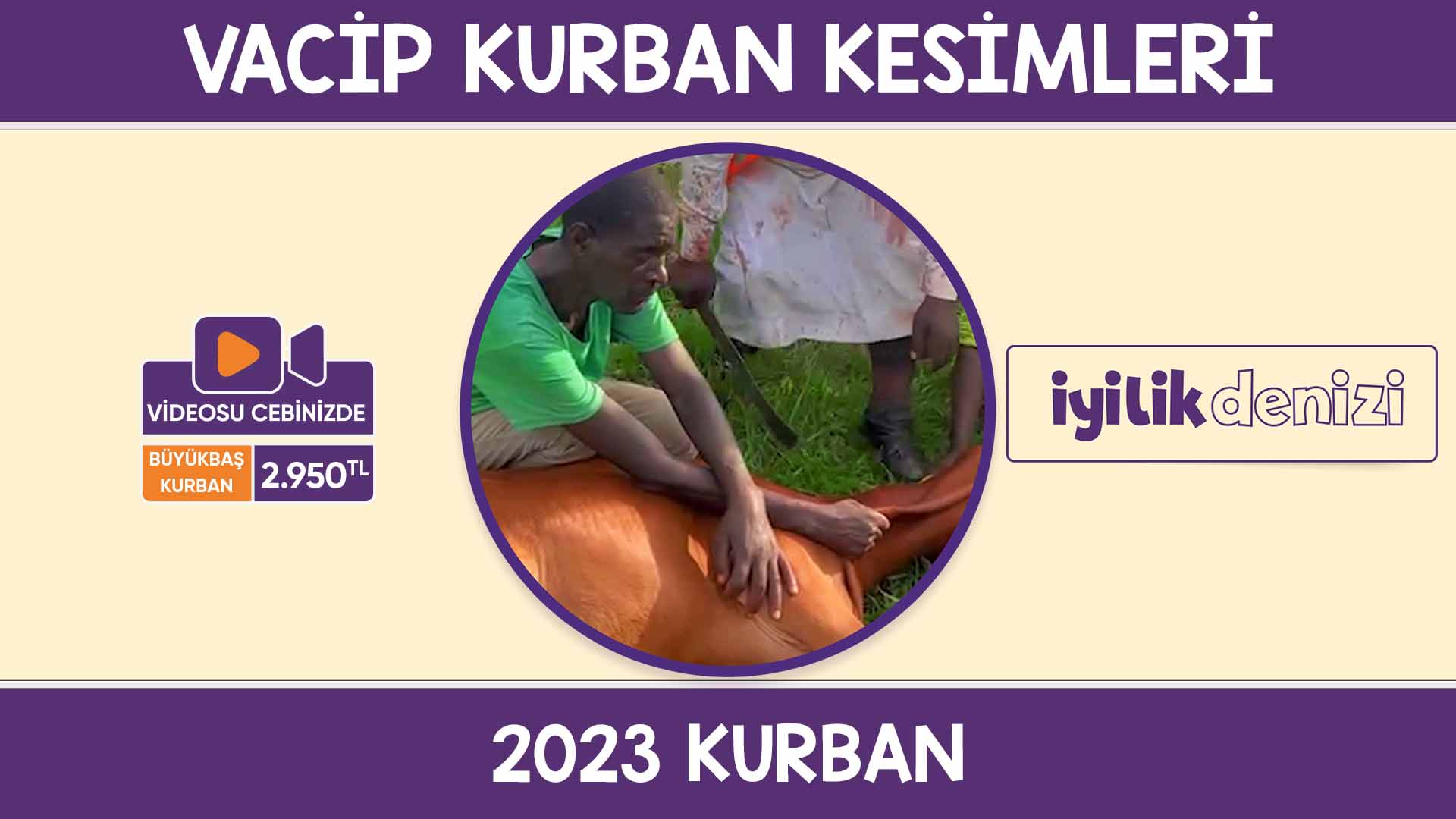 Kurban 2023 Vacip Kurbanlıkların Kesimi