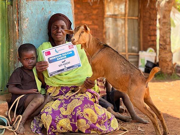 Süt Keçisi Dağıtımı 2022